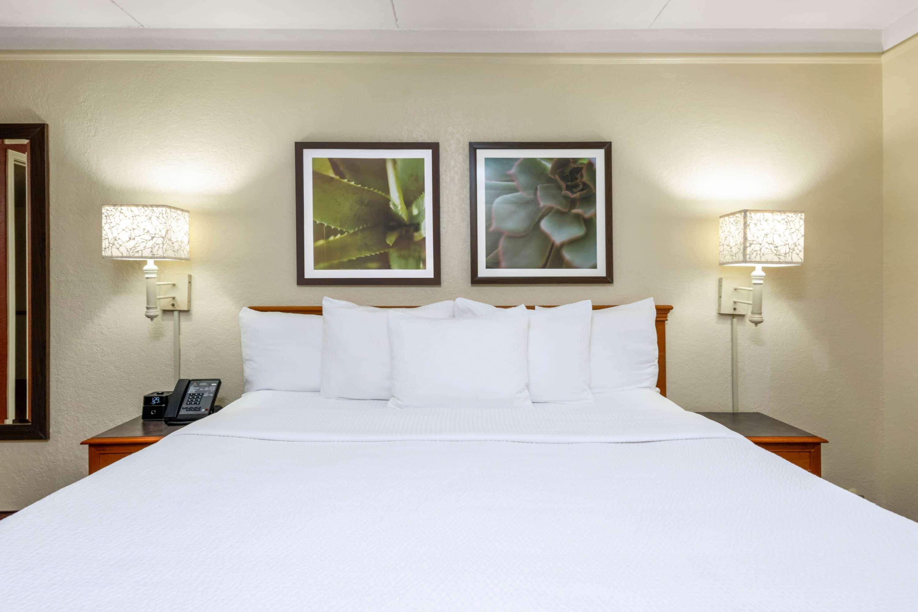 La Quinta East Deerfield Beach - Boca Raton Eksteriør bilde
